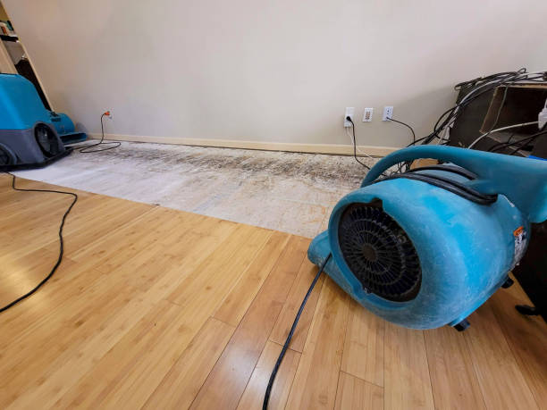 Professional Structural Drying technician working in Waterford, PA
